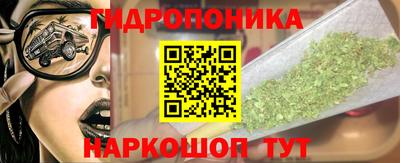 шишки Обь