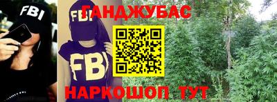шишки Обь