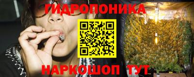 шишки Обь