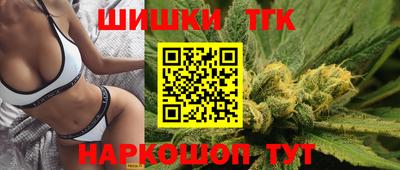 шишки Обь