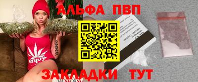 шишки Обь