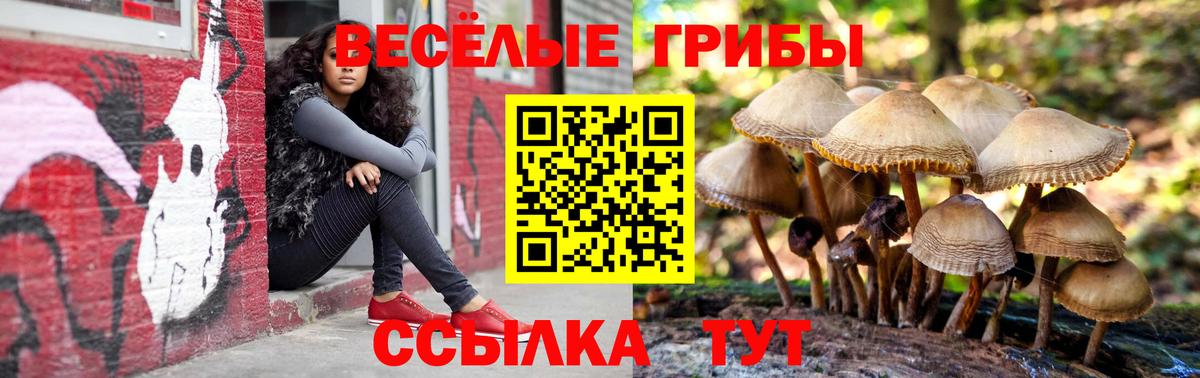 Галлюциногенные грибы GOLDEN TEACHER  Вход с VPN  Северск 
